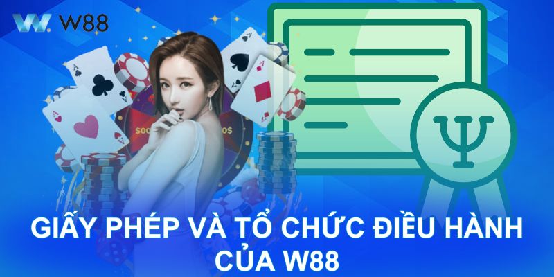 Giấy phép và tổ chức điều hành của W88